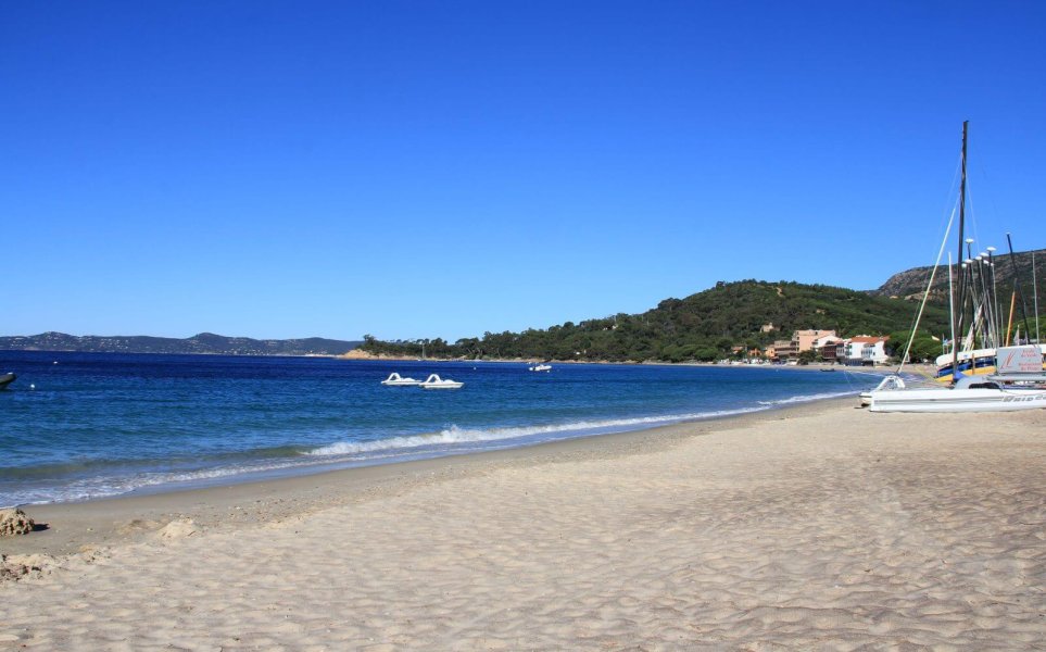 Bord de mer avec de la végétation en arrière plan.