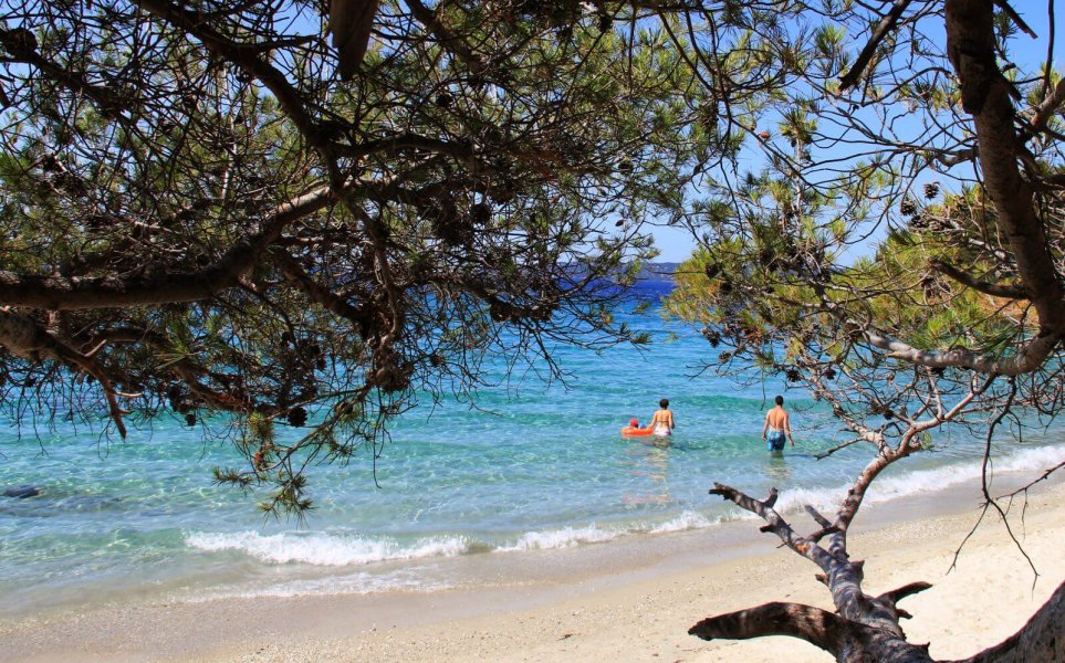 Plage de sable blanc avec de l'eau bleu turquoise et des pins.